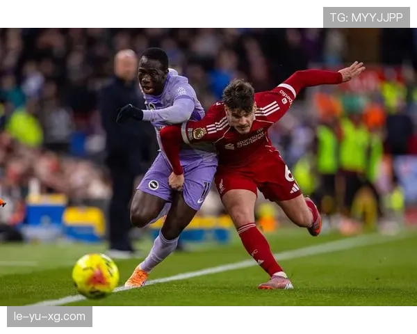 布莱顿战术革新：灵活体系与团队协作助推英超竞争力跃升